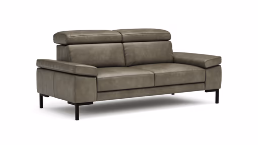Sofa Hudson - 2,5-Sitzer, inkl. Kopfteil verstellbar, Leder, Braungrün