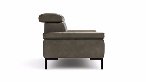 Sofa Hudson - 2,5-Sitzer, inkl. Kopfteil verstellbar, Leder, Braungrün