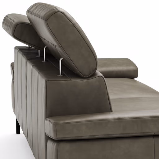 Sofa Hudson - 2,5-Sitzer, inkl. Kopfteil verstellbar, Leder, Braungrün