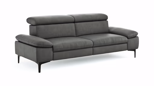 Sofa Felipa - 3-Sitzer inkl. Kopfteil verstellbar, Leder, Grau