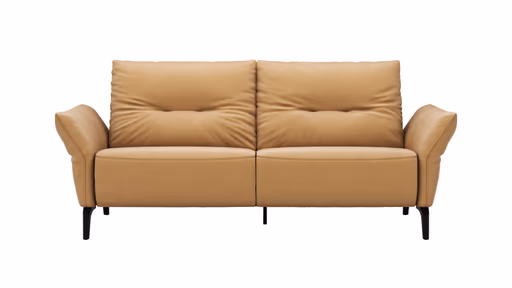 Sofa Bahia - 2-Sitzer inkl. Armlehne verstellbar, Leder, Kurkuma