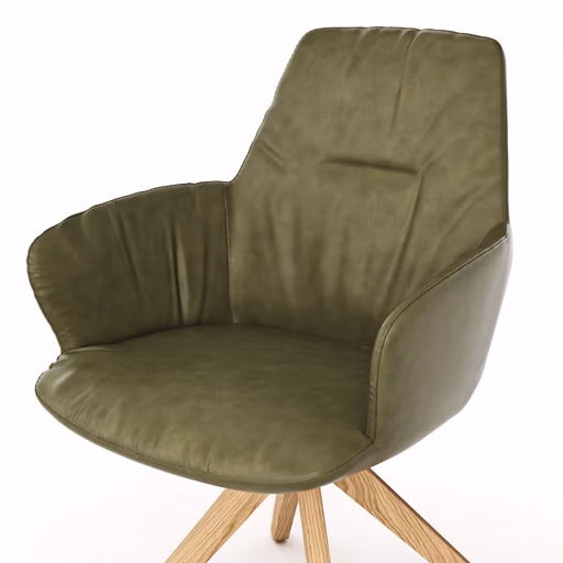 Armlehnstuhl Pegara - Leder, Moos, Beine, Eiche massiv