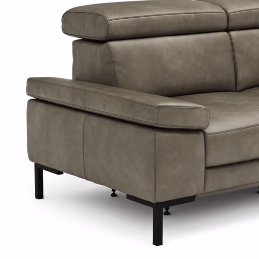 Sofa Hudson - 2,5-Sitzer, inkl. Relaxfunktion (motorisch) und Kopfteil/Armlehnen verstellbar, Leder, Braungrün