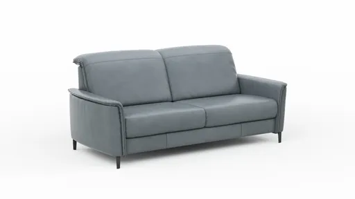 Sofa Bolivien - 2,5-Sitzer groß, Kopfteil verstellbar, Leder, Steel