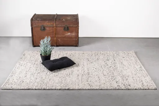 Teppich  - BL ca. 200x290 cm, Hellgrau