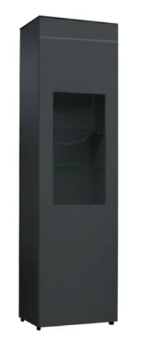 Vitrine- inkl. LED-Beleuchtung, Anthrazit