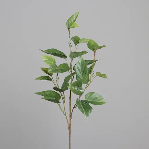 Caladium-Zweig - LB ca. 90x31 cm, Grün