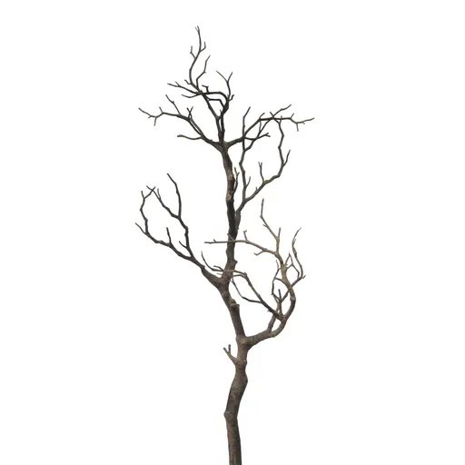 Deko-Zweig - H ca. 73 cm, Natur