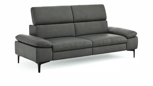 Sofa Felipa - 3-Sitzer inkl. Kopfteil verstellbar, Leder, Grau