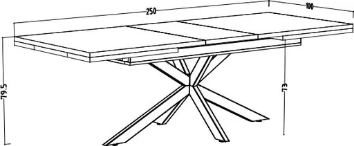 Esstisch - ausziehbar, LB ca. 200x100 cm, Asteiche, Schwarz