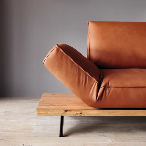 Sofa - 2,5-Sitzer, Rückenlehne/Armlehne verstellbar (manuell), Leder, Rost