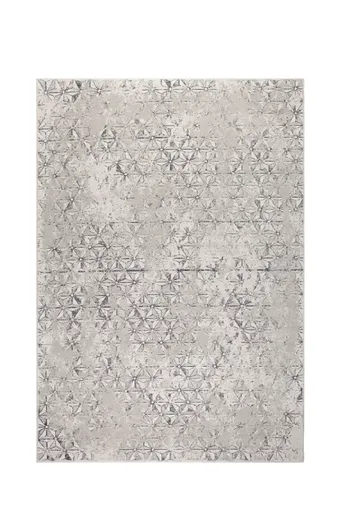 Teppich - BL ca. 170x240 cm, Grau