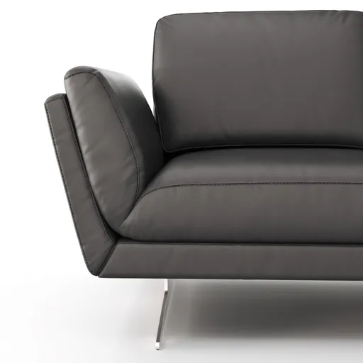 Sofa Tova - 2-Sitzer inkl. Rücken- und Armlehnfunktion, Kufe, Leder, Schwarz