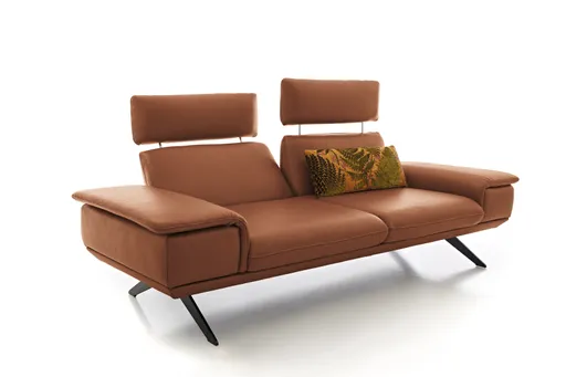 Sofa - 2,5-Sitzer, Kopfstütze/Armlehne verstellbar, Leder, Braungrün