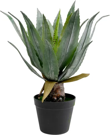 Dekopflanze- DH ca. 40x40 cm, Agave, Grün