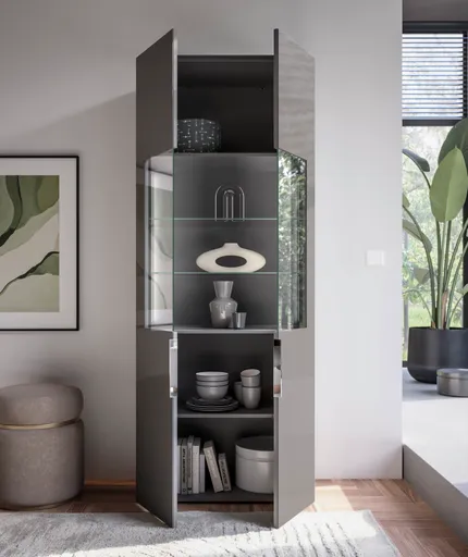 Vitrine- inkl. LED-Beleuchtung, Anthrazit