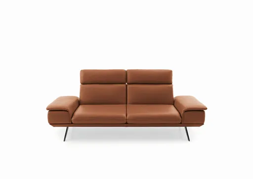 Sofa - 2,5-Sitzer, Kopfstütze/Armlehne verstellbar, Leder, Braungrün
