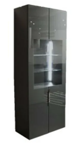 Vitrine- inkl. LED-Beleuchtung, Anthrazit