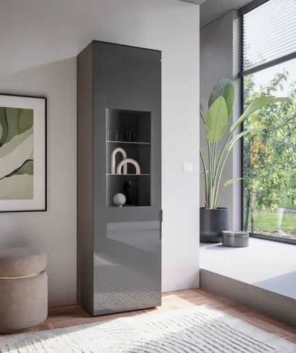 Vitrine- inkl. LED-Beleuchtung, Anthrazit