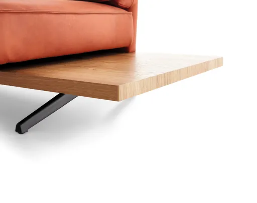 Sofa - 2,5-Sitzer, Rückenlehne/Armlehne verstellbar (manuell), Leder, Rost