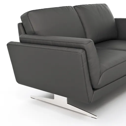 Sofa Tova - 2-Sitzer inkl. Rücken- und Armlehnfunktion, Kufe, Leder, Schwarz