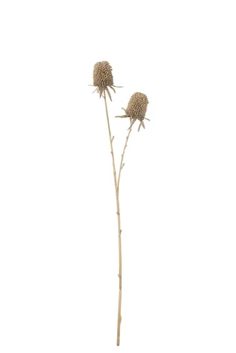 Deko-Zweig - LB ca. 67x8 cm, Braun