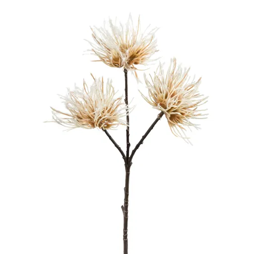Deko-Urchinzweig - H ca. 37 cm, Creme