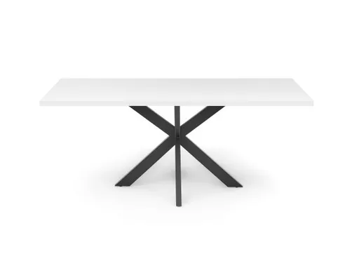 Esstisch - LB ca. 200x100 cm, Weiß, Schwarz