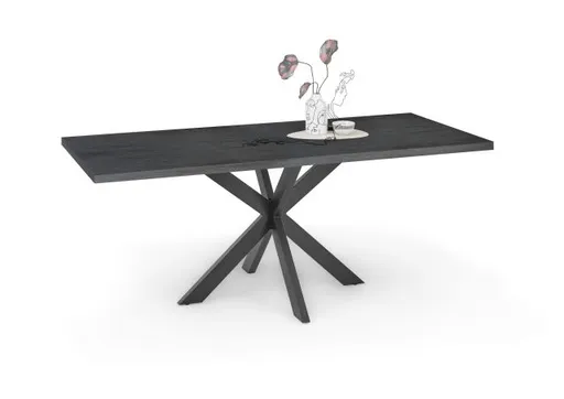 Esstisch - LB ca. 200x100 cm, Schwarzstahl, Schwarz