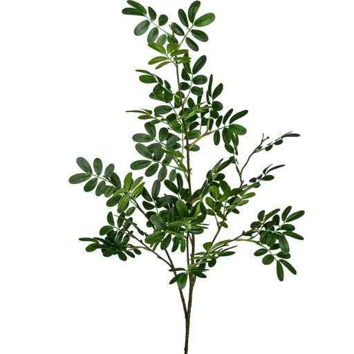 Deko-Moringazweig - L ca. 105 cm, Grün