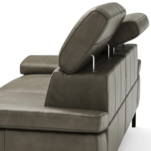 Sofa Hudson - 2,5-Sitzer, inkl. Relaxfunktion (motorisch) und Kopfteil/Armlehnen verstellbar, Leder, Braungrün