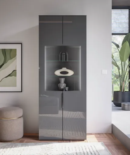 Vitrine- inkl. LED-Beleuchtung, Anthrazit