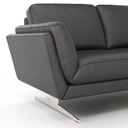 Sofa Tova - 2-Sitzer inkl. Rücken- und Armlehnfunktion, Kufe, Leder, Schwarz