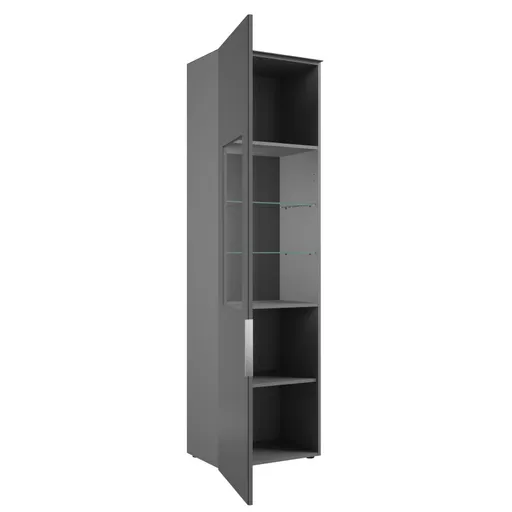 Vitrine- inkl. LED-Beleuchtung, Anthrazit