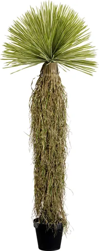 Dekopflanze- DH ca. 65x185 cm, Yucca, Grün