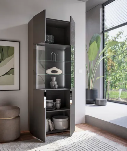 Vitrine- inkl. LED-Beleuchtung, Anthrazit