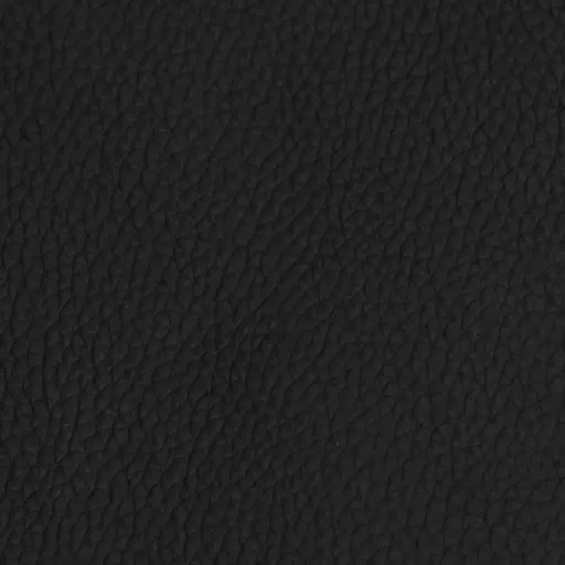 Freischwinger MERVE - Leder, Schwarz