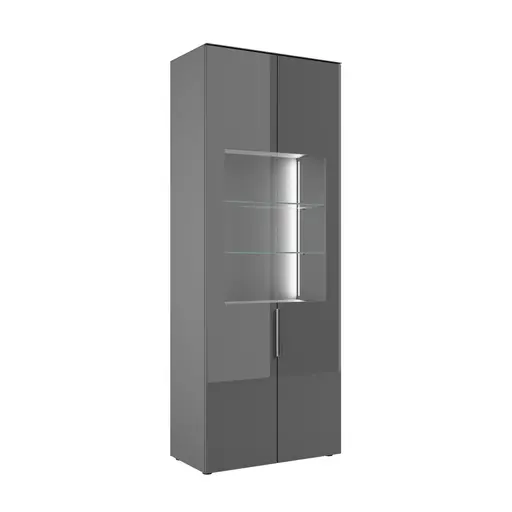 Vitrine- inkl. LED-Beleuchtung, Anthrazit