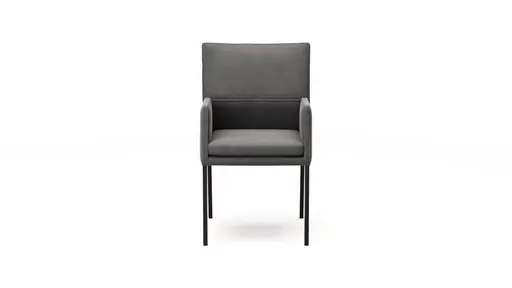 Armlehnstuhl Carry - Leder, Dunkelgrau