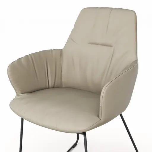 Armlehnstuhl Pegara - Leder, Graubraun, Kufe