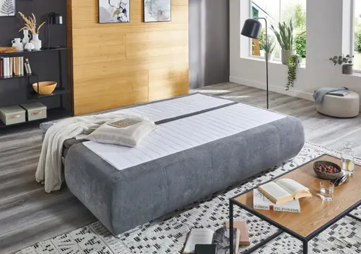 Schlafsofa- 2 Sitzer, Inkl. Bettkasten, Stoff, Grau