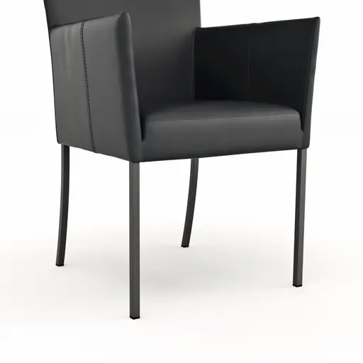 Armlehnstuhl Penthouse - Leder, Schwarz, 4 Fuß, Metall, Schwarz