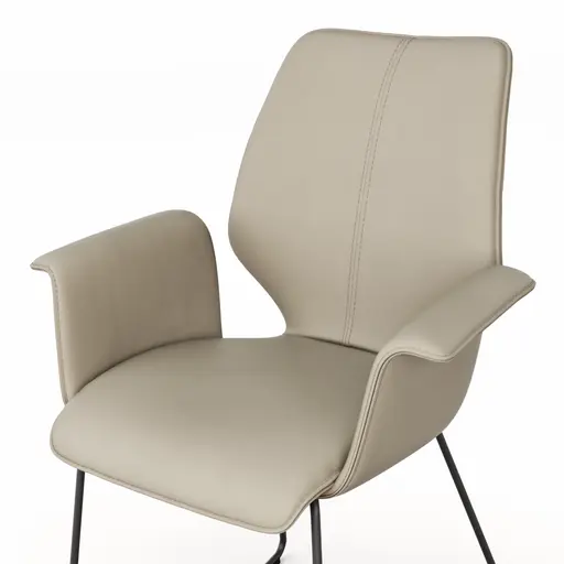 Armlehnstuhl Penthouse - Leder, Graubraun, Kufen, Anthrazit