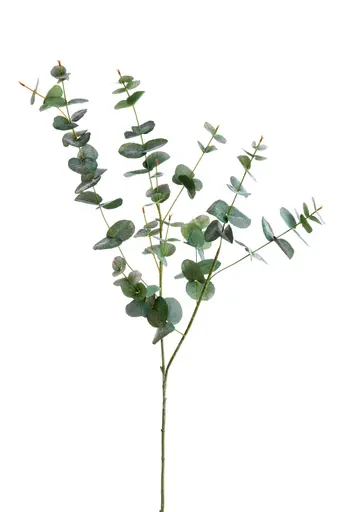 Deko-Zweig - LB ca. 98 x 25 cm 