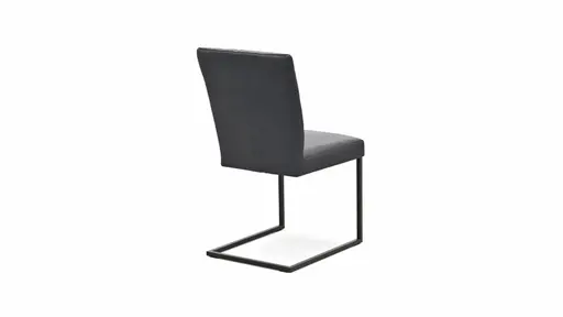 Freischwinger Edmonton - Leder, Anthrazit