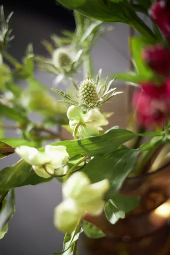 Inselküche 51.230 CO 1V1 525, Rillenoptik Eiche dunkel 