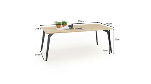 Esstisch - LB ca. 200x100 cm, Wildeiche massiv geölt Legno Light, Schweizer Kante, Schwarz