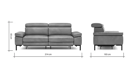 Sofa Hudson - 3-Sitzer, inkl. Relaxfunktion (motorisch) und Kopfteil/Armlehnen verstellbar, Leder, Braungrün