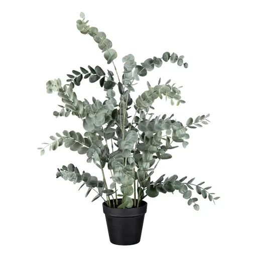 Deko-Eucalypthus - H ca. 67 cm, Grün, Schwarz