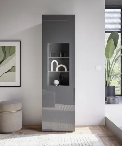 Vitrine- inkl. LED-Beleuchtung, Anthrazit